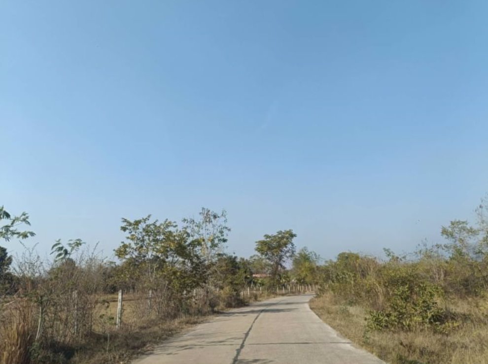 ขายที่ดินติดถนนคอนกรีต-เนื้อที่-98ตรว