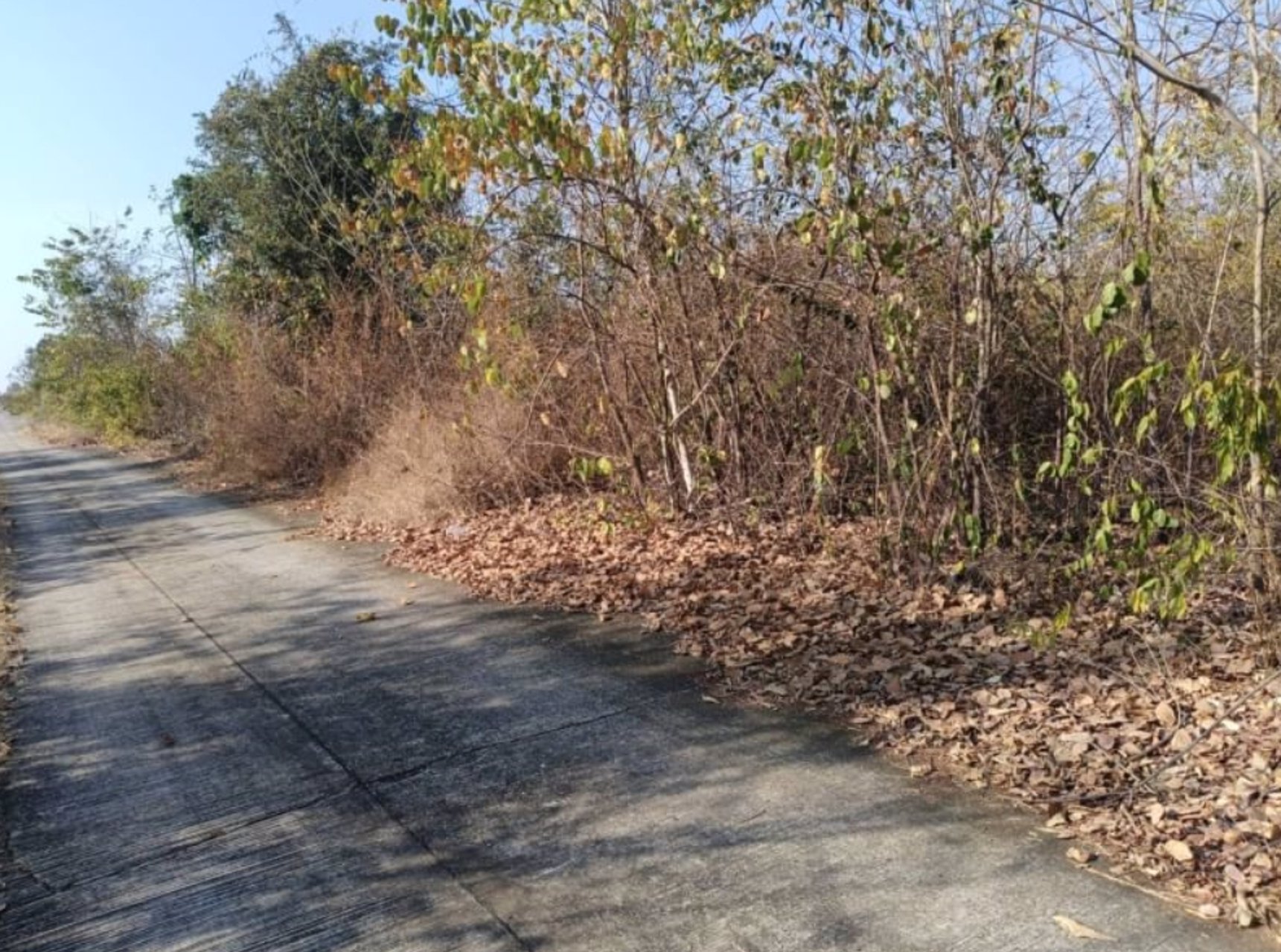 ขายที่ดินติดถนนคอนกรีต-เนื้อที่-98ตรว