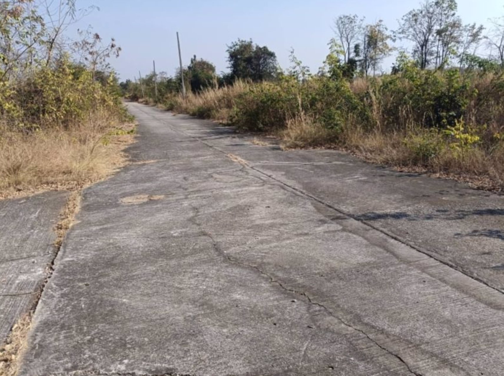 ขายที่ดินติดถนนคอนกรีต-เนื้อที่-98ตรว