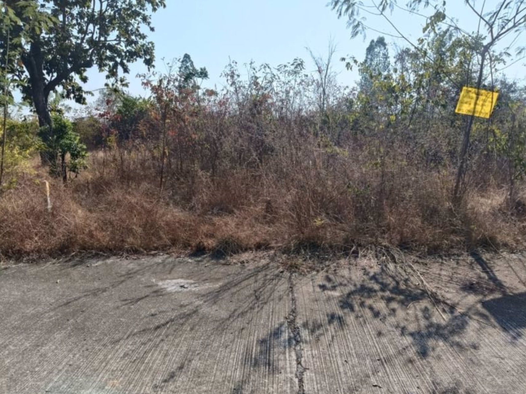 ขายที่ดินติดถนนคอนกรีต-เนื้อที่-98ตรว