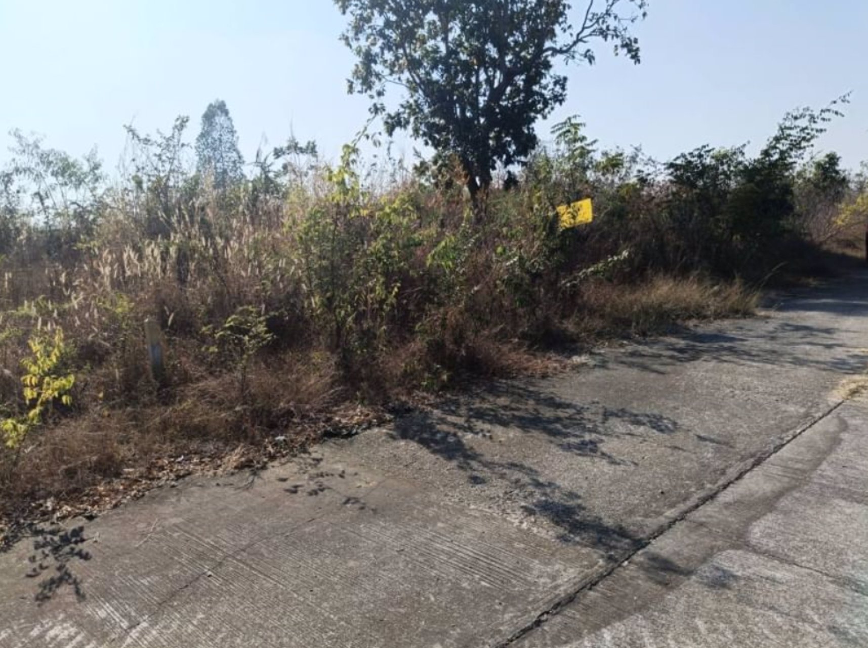 ขายที่ดินติดถนนคอนกรีต-เนื้อที่-98ตรว