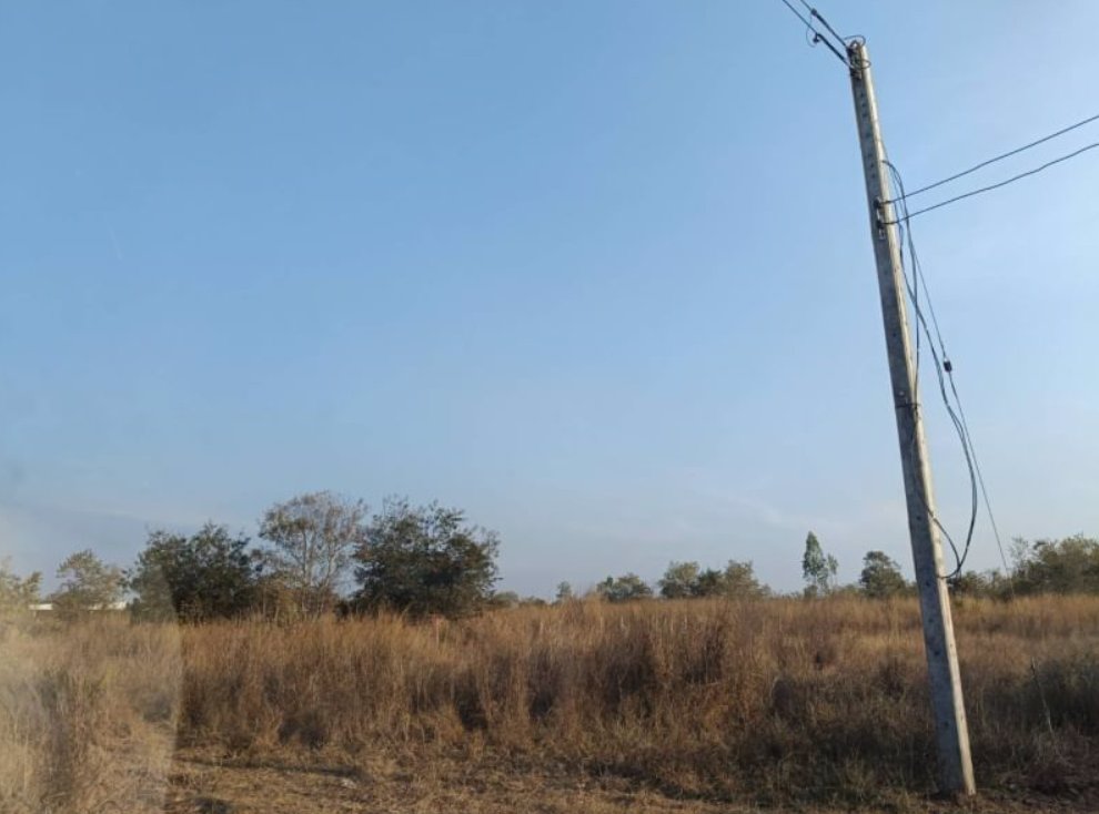 ขายที่ดิน-50ตรว-ราคา89000บาท-ผ่อนวัน100บาท-