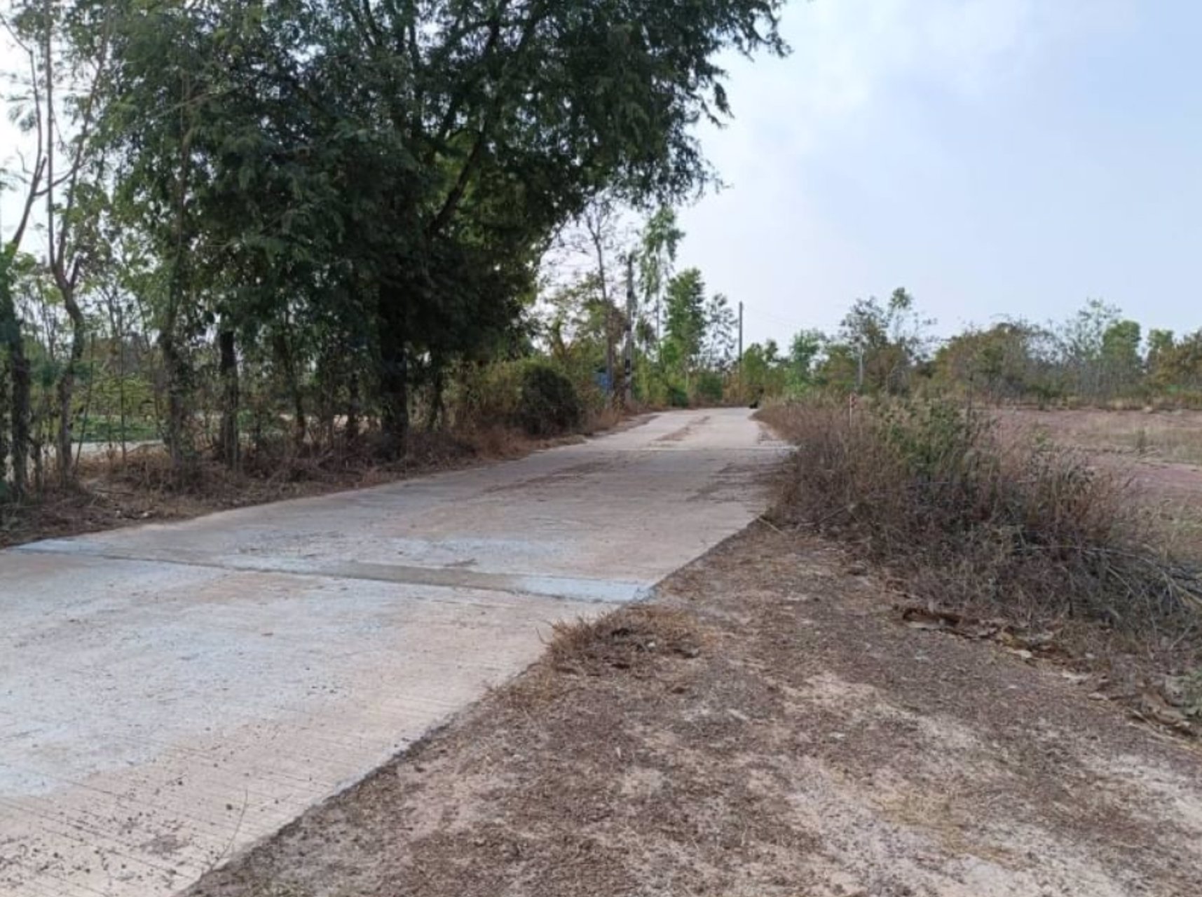 ขายที่ดินทำบ้าน-ขนาด250ตรว-ราคา-300000บาท