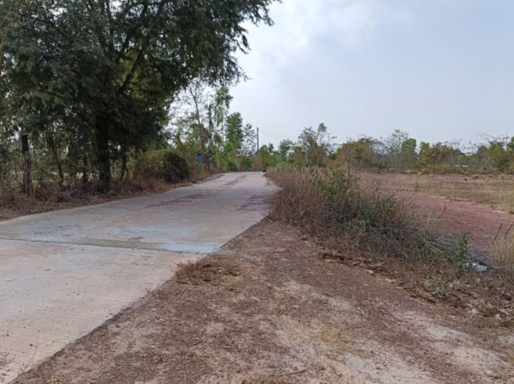 ขายที่ดินทำบ้าน-ขนาด250ตรว-ราคา-300000บาท