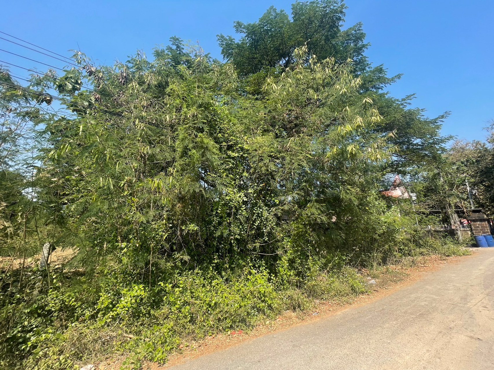 ขาย-ให้เช่า-ที่ดินริมแม่น้ำ-910-ตรวา-ใกล้วัดหลุมดิน-เมืองราชบุรี