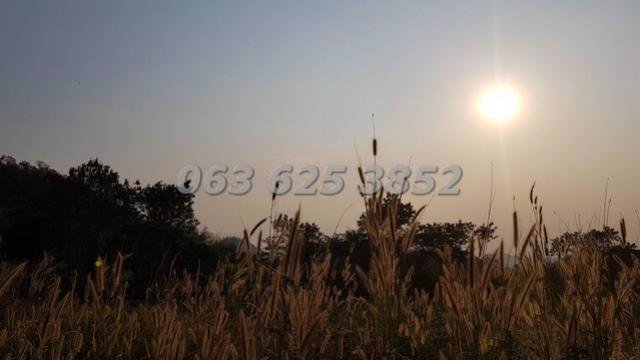 ขาย-ที่ดิน-ถูกมาก-ติดถนนใหญ่-มีแหล่งน้ำ-ใกล้สวนผึ้ง-ราชบุรี-380-ไร่-พร้อมสิ่งปลูกสร้าง