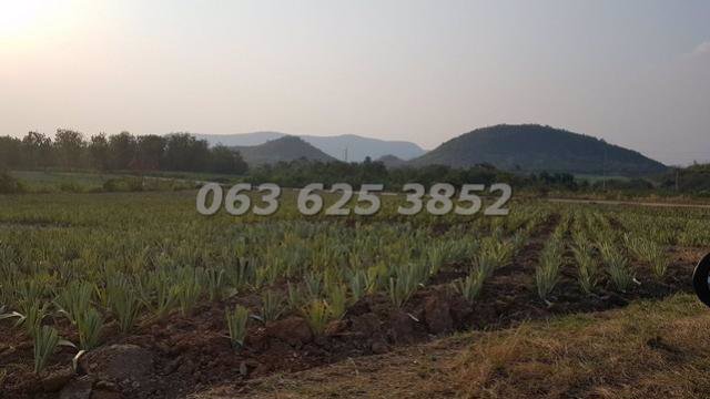 ขาย-ที่ดิน-ถูกมาก-ติดถนนใหญ่-มีแหล่งน้ำ-ใกล้สวนผึ้ง-ราชบุรี-380-ไร่-พร้อมสิ่งปลูกสร้าง