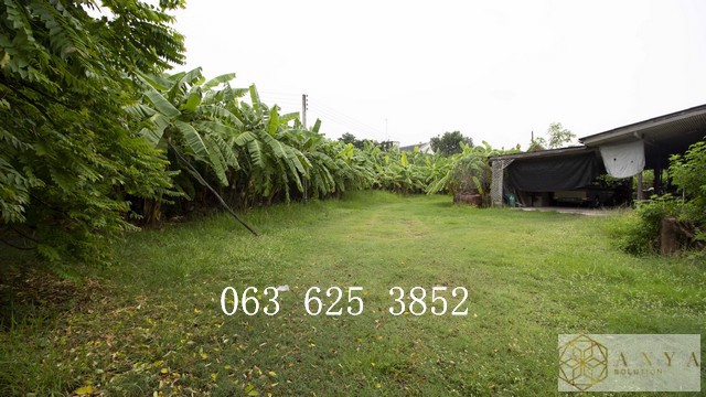 ขาย-ที่ดิน-พร้อมบ้าน-2-หลัง-พนัสนิคม-ชลบุรี-ถูก-พท-ใหญ่-4-ไร่-15-ล้าน