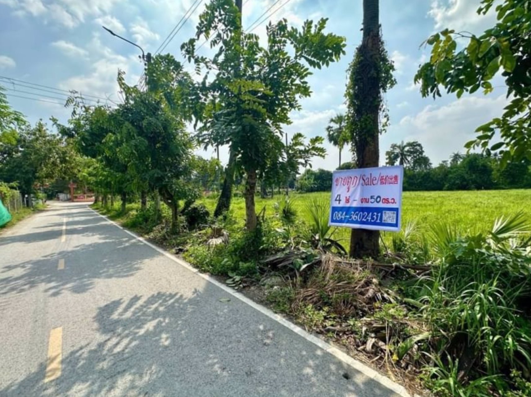 ขายด่วน-ที่ดินเมืองนนทบุรี-ขายเท่าราคาประเมิน