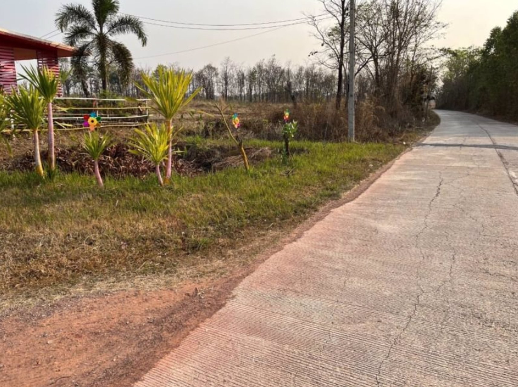 ขายที่ดินเปล่า100-ตรว-ราคา2แสนบาท-ผ่อนวัน100บาท-