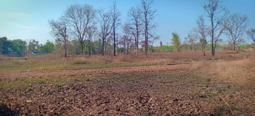 ขายที่ดินเนื้อที่รวม-4ไร่-43ตรว-ราคาไร่ละ149000บาท