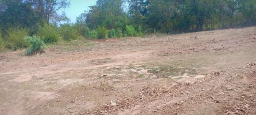 ขายที่ดินจัดสรร100-ตรว-ราคา199000บาท