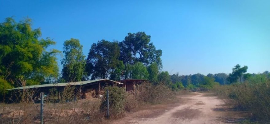 ขายที่ดินพร้อมโรงเรือนเนื้อที่-9-ไร่-ราคา13ล้านบาท