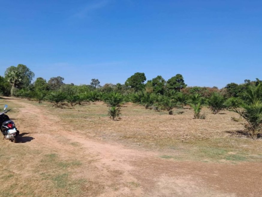 ขายที่ดินพร้อมโรงเรือนเนื้อที่-9-ไร่-ราคา13ล้านบาท