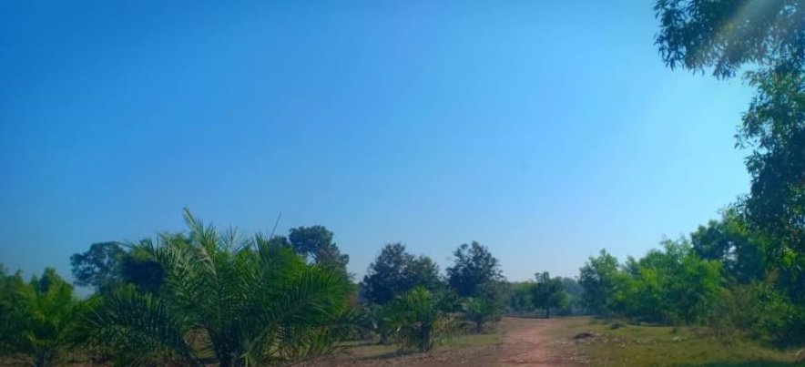 ขายที่ดินพร้อมโรงเรือนเนื้อที่-9-ไร่-ราคา13ล้านบาท