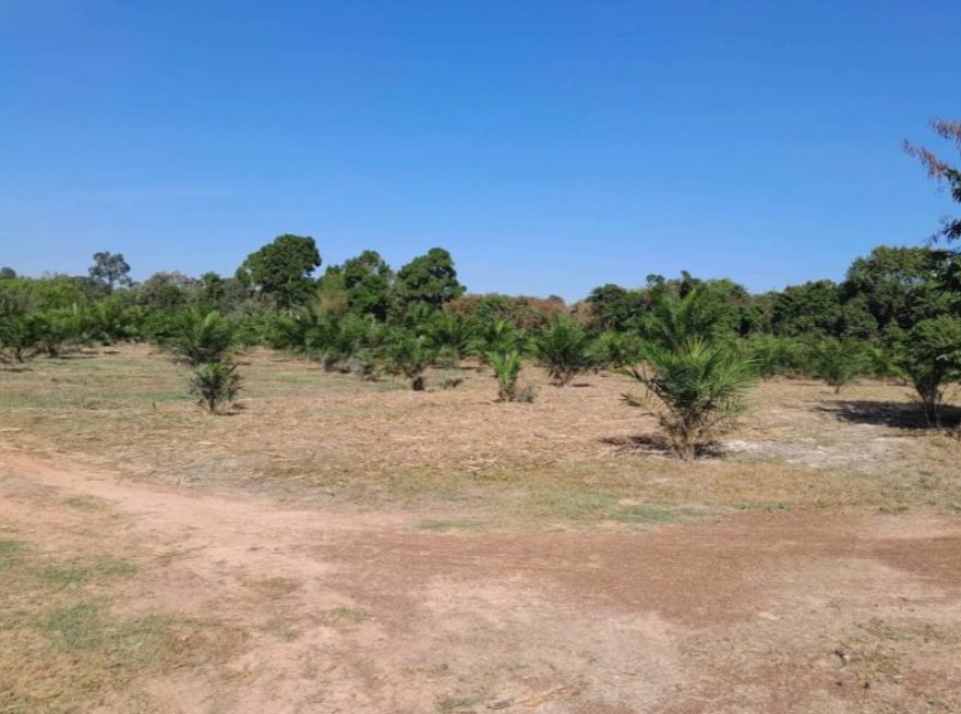 ขายที่ดินพร้อมโรงเรือนเนื้อที่-9-ไร่-ราคา13ล้านบาท