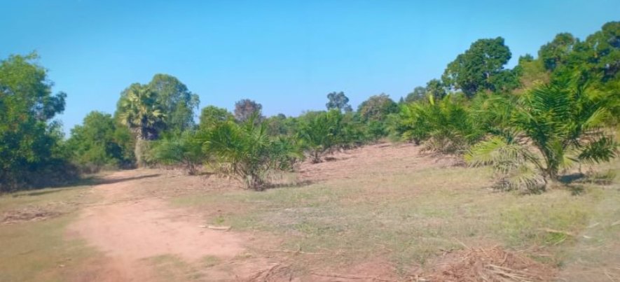 ขายที่ดินพร้อมโรงเรือนเนื้อที่-9-ไร่-ราคา13ล้านบาท