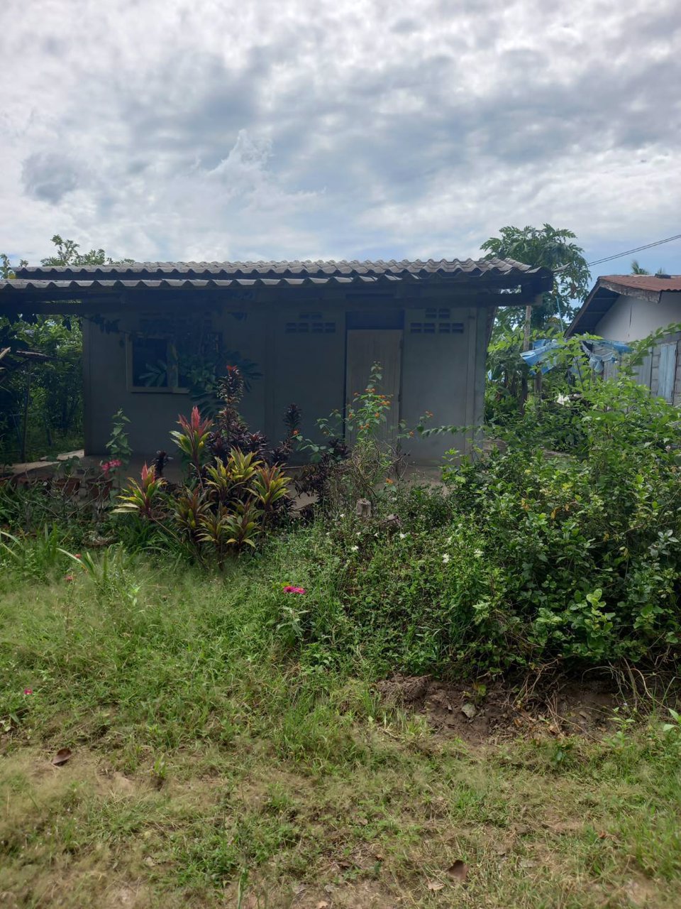 ให้เช่าบ้าน-ทั้งหลัง-พร้อมที่ดิน-100-ตรว