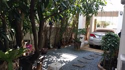 ขายบ้านเดี่ยว-2-ชั้น-50-ตรว-หมู่บ้าน-เพอร์เฟคพาร์ค-พระราม5-บางใหญ่-นนทบุรี-ราคา-4400000-บาท-ราคา