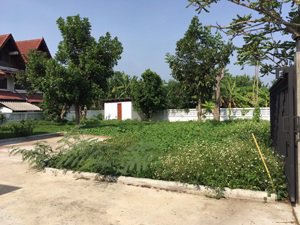 ขายบ้านเดี่ยว-ชั้นเดี่ยว-261-ตรว-บ้านปลูกสร้างใหม่-ใกล้ศาลากลางจังหวัดเชียงใหม่