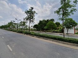 ที่ดินเปล่า-400-ตรว-ใกล้-รรฤทธิยะวรรณาลัย2-ซอยสายไหม43