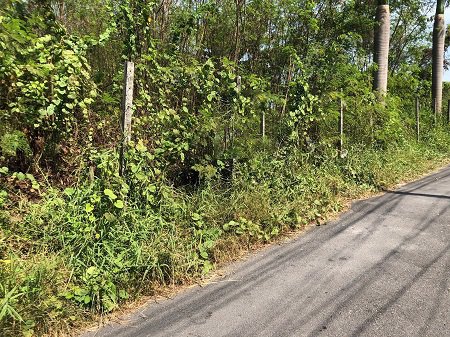 ที่ดินเปล่า-303-ตรว-ใกล้ซอยสุขาภิบาล4-ถนนรามอินทรา-ถนนพหลโยธิน-ราคาต่อรองได้-