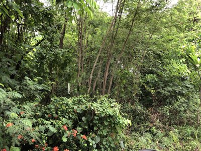 ที่ดิน-382-ตรว-ซิลค์วิลเลจ-ซอยสายไหม54-ราคาต่อรองได้-