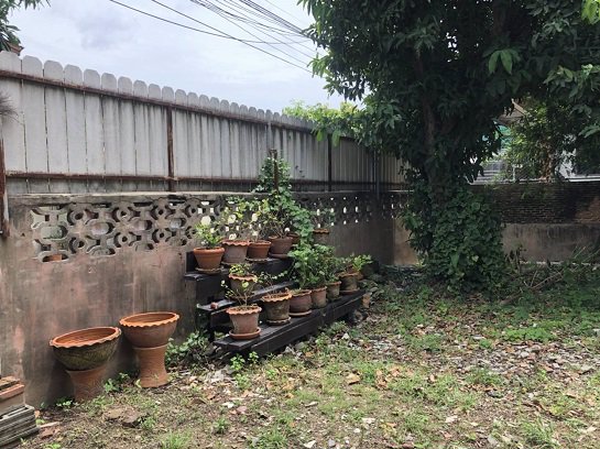 ที่ดิน-60-ตรว-ใกล้-โรงพยาบาลโรคทรวงอก-ซอยติวานนท์38-ราคาต่อรองได้-