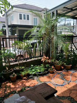 ขายบ้านแฝด-378-ตรว-หมู่บ้านเดอะแพลนท์รีสอร์ท-กาญจนาภิเษก-ใกล้เซ็นทรัลเวสต์เกต