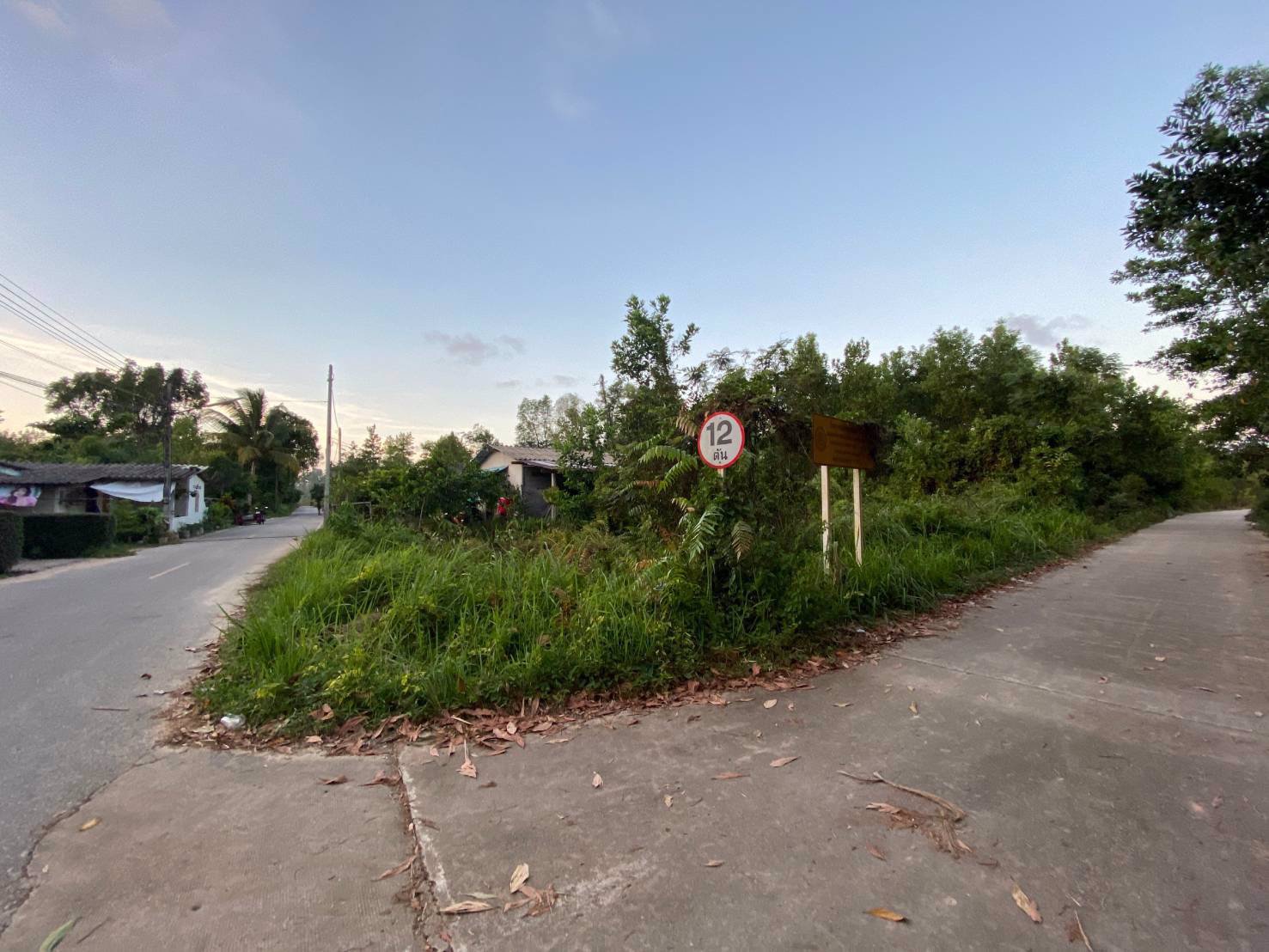 ขายที่ดินเนื้อที่-2-งาน-64-ตารางวา