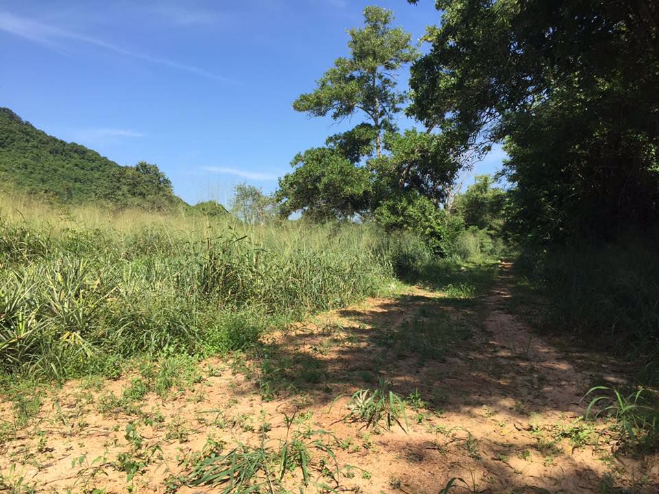 ที่ดินสวยบรรยากาศดี-ใกล้ชิดธรรมชาติ-สัตหีบ-ไม่ไกลจากสนามบิน