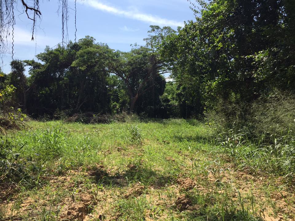 ที่ดินสวยบรรยากาศดี-ใกล้ชิดธรรมชาติ-สัตหีบ-ไม่ไกลจากสนามบิน