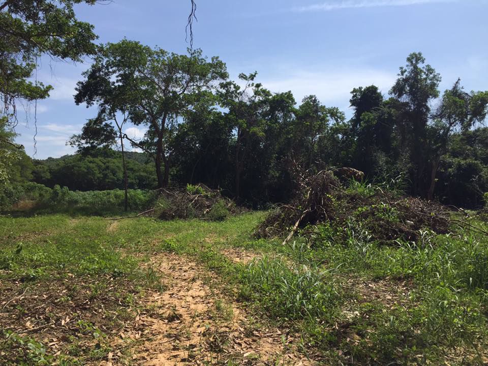 ที่ดินสวยบรรยากาศดี-ใกล้ชิดธรรมชาติ-สัตหีบ-ไม่ไกลจากสนามบิน