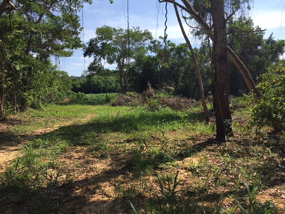 ที่ดินสวยบรรยากาศดี-ใกล้ชิดธรรมชาติ-สัตหีบ-ไม่ไกลจากสนามบิน