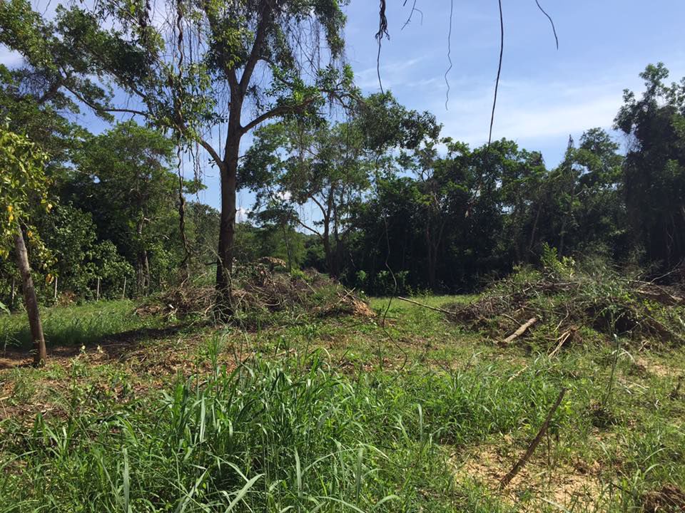 ที่ดินสวยบรรยากาศดี-ใกล้ชิดธรรมชาติ-สัตหีบ-ไม่ไกลจากสนามบิน