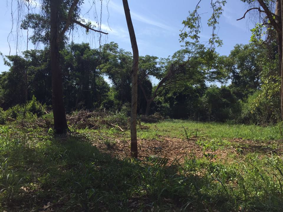 ที่ดินสวยบรรยากาศดี-ใกล้ชิดธรรมชาติ-สัตหีบ-ไม่ไกลจากสนามบิน