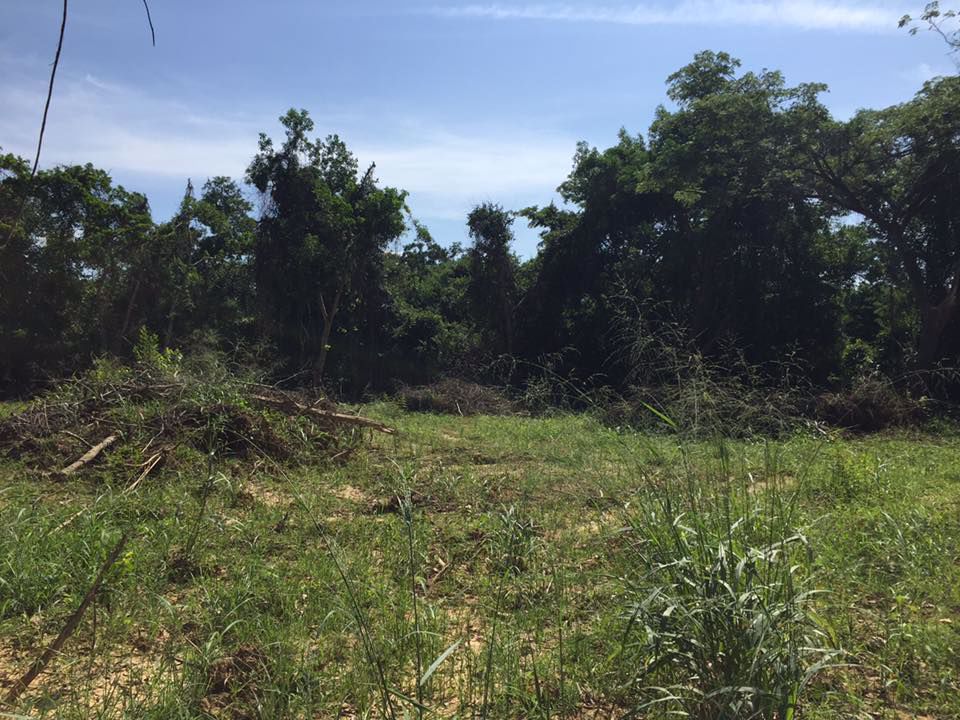 ที่ดินสวยบรรยากาศดี-ใกล้ชิดธรรมชาติ-สัตหีบ-ไม่ไกลจากสนามบิน