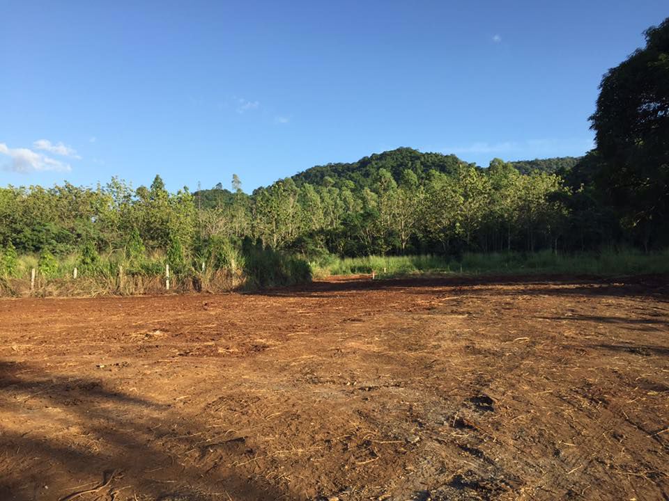 ขายที่ดินใกล้ชิดธรรมชาติ-ห่างเส้น-332-เพียง-500-เมตร