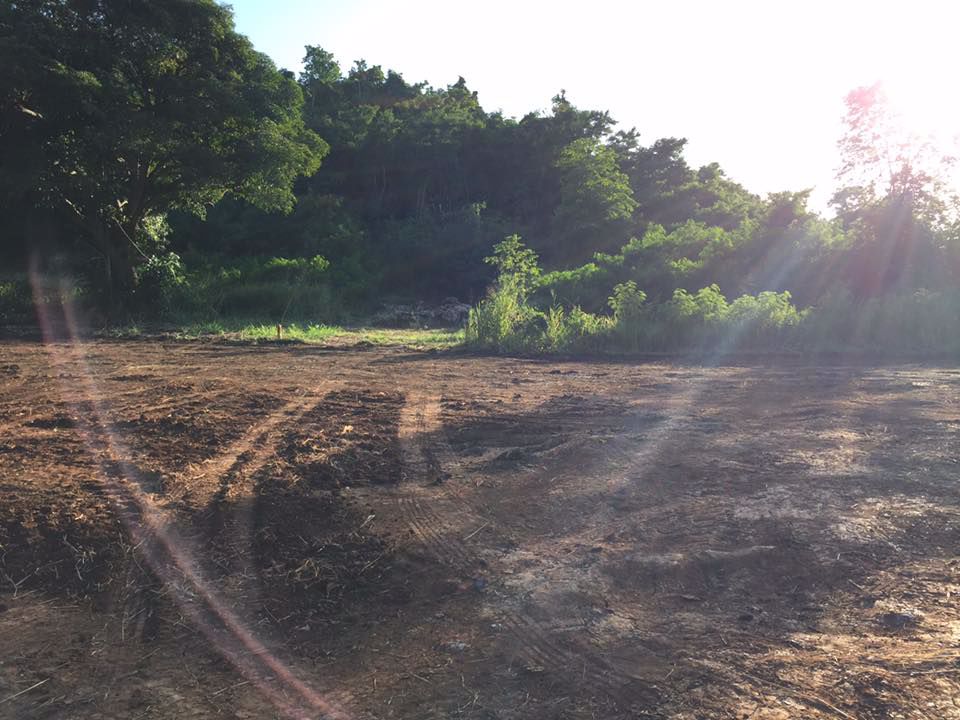 ขายที่ดินใกล้ชิดธรรมชาติ-ห่างเส้น-332-เพียง-500-เมตร