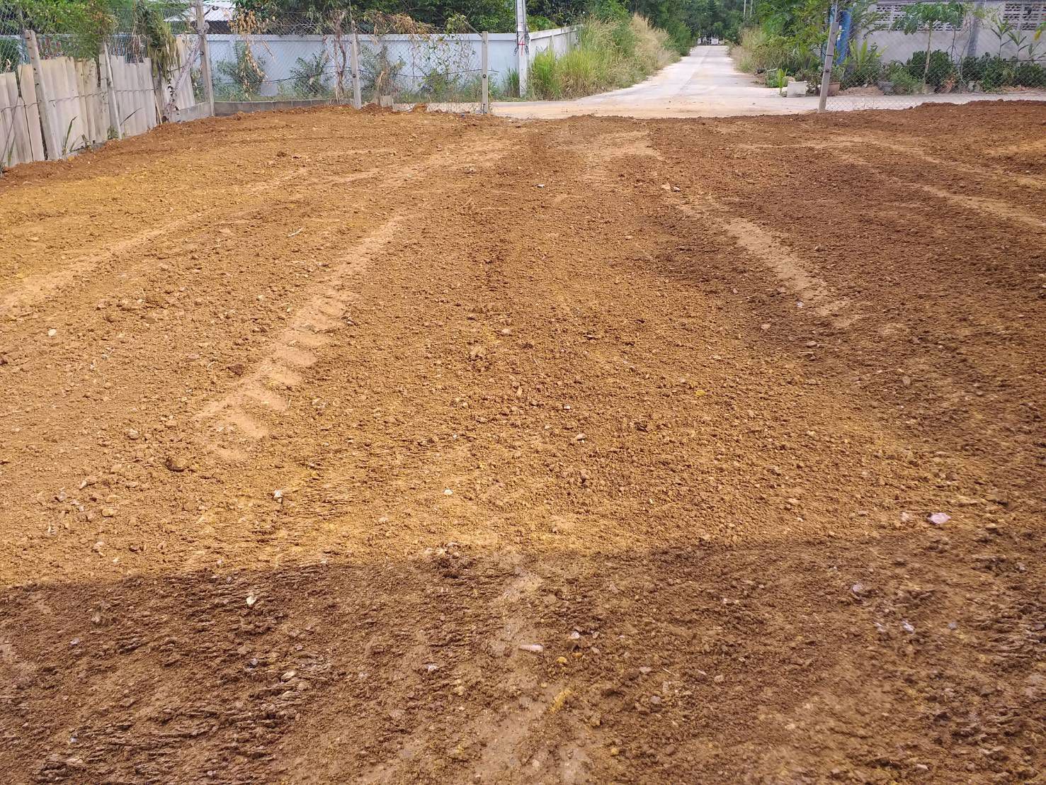 ขายที่ดินแปลงเล็ก-เหมาะปลูกสร้างบ้าน-บางเสร่