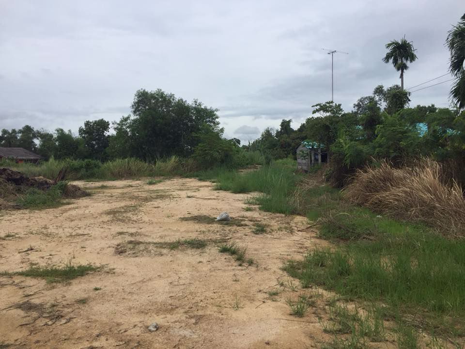 ขายที่ดินห้วยใหญ่พัทยา-1-ไร่-ขายถูกกว่าข้างเคียง