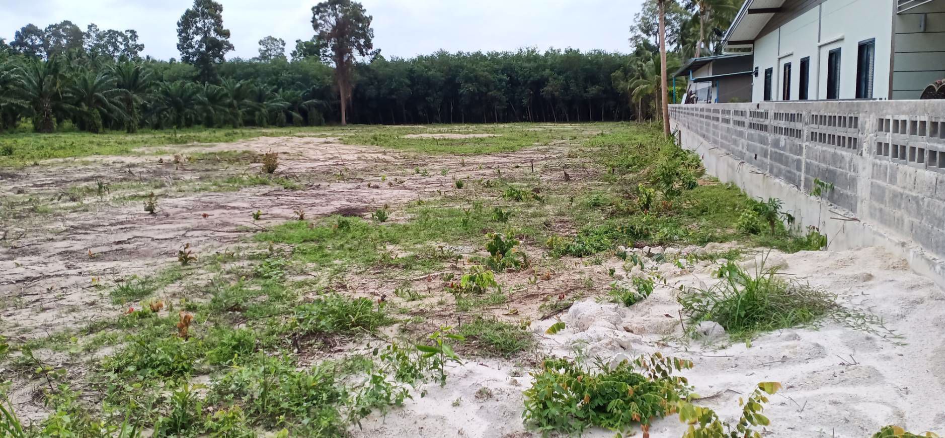 ขายที่ดินเกาะสมุย-ตลิ่งงาม