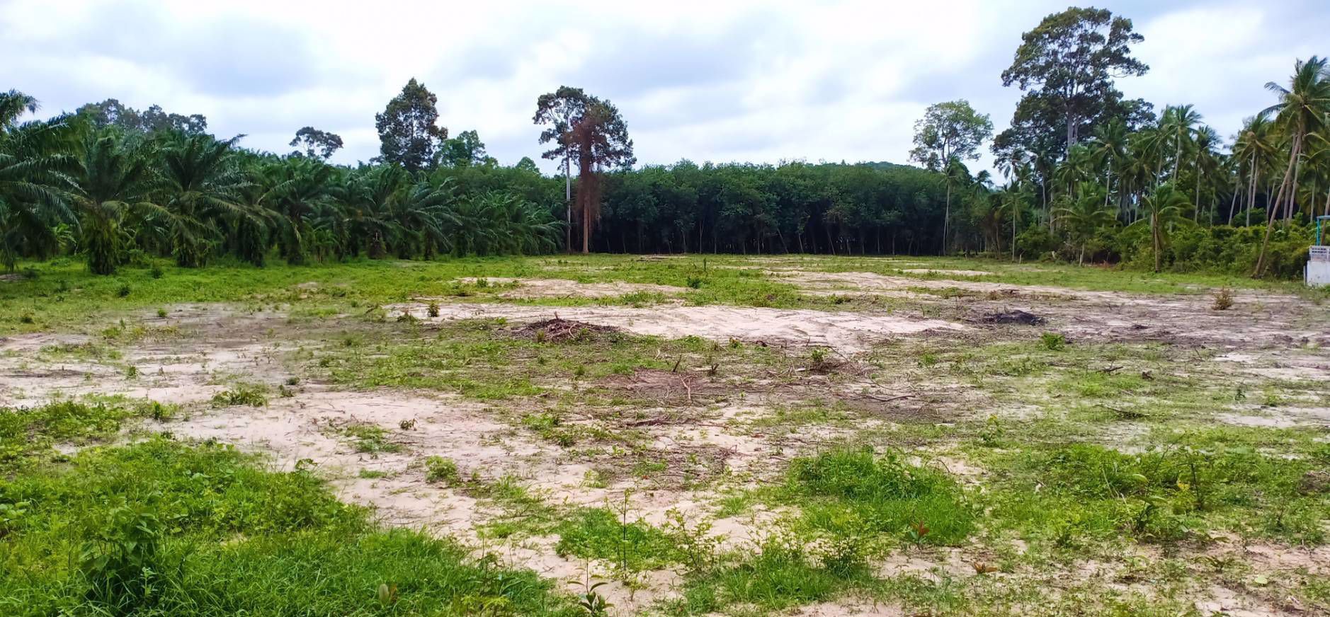 ขายที่ดินเกาะสมุย-ตลิ่งงาม