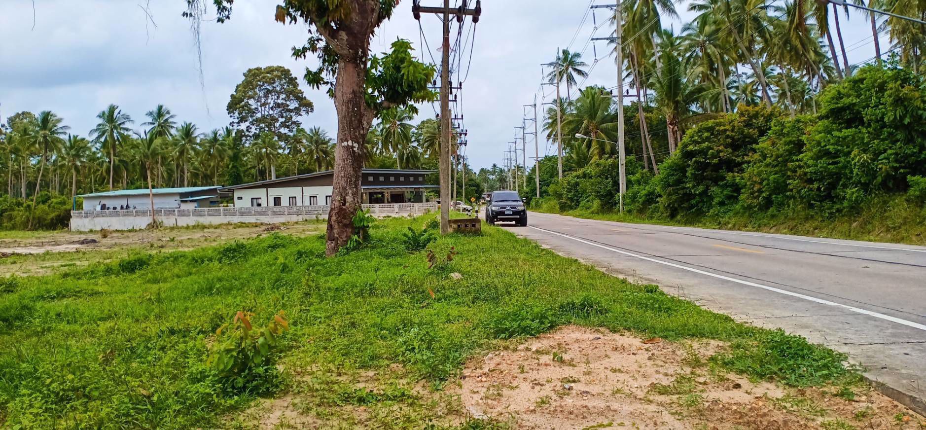 ขายที่ดินเกาะสมุย-ตลิ่งงาม