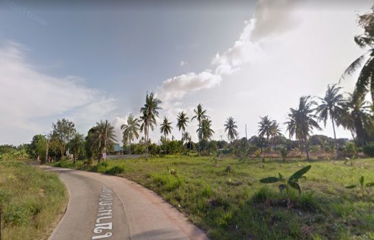 ขายที่ดิน-2-ไร่ครึ่งหลังตลาดน้ำสี่ภาค-ติดถนนคอนกรีต