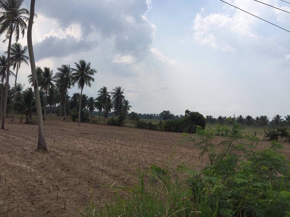 ขายด่วนที่ดิน-ติดถนนเส้นหลักห้วยใหญ่-331