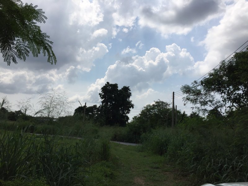 ขายที่ดินพลูตาหลวง-สัตหีบ-อู่ตะเภา-ราคาหลักแสน