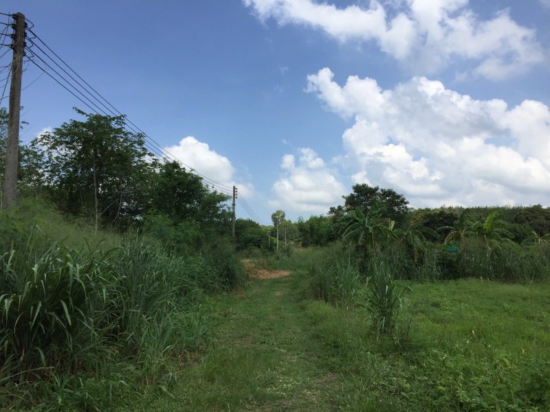 ขายที่ดินพลูตาหลวง-สัตหีบ-อู่ตะเภา-ราคาหลักแสน