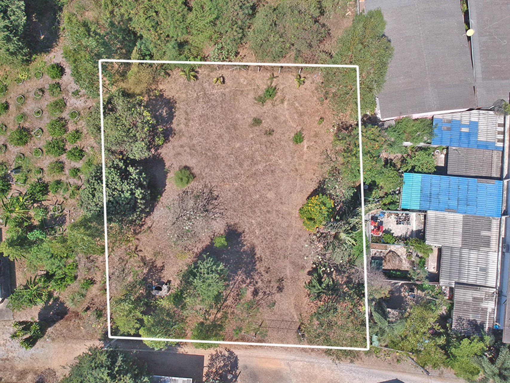 ขายด่วนที่ดินบางเสร่ฝั่งทะเล-ขายถูกกว่าราคาปกติถึง-30-