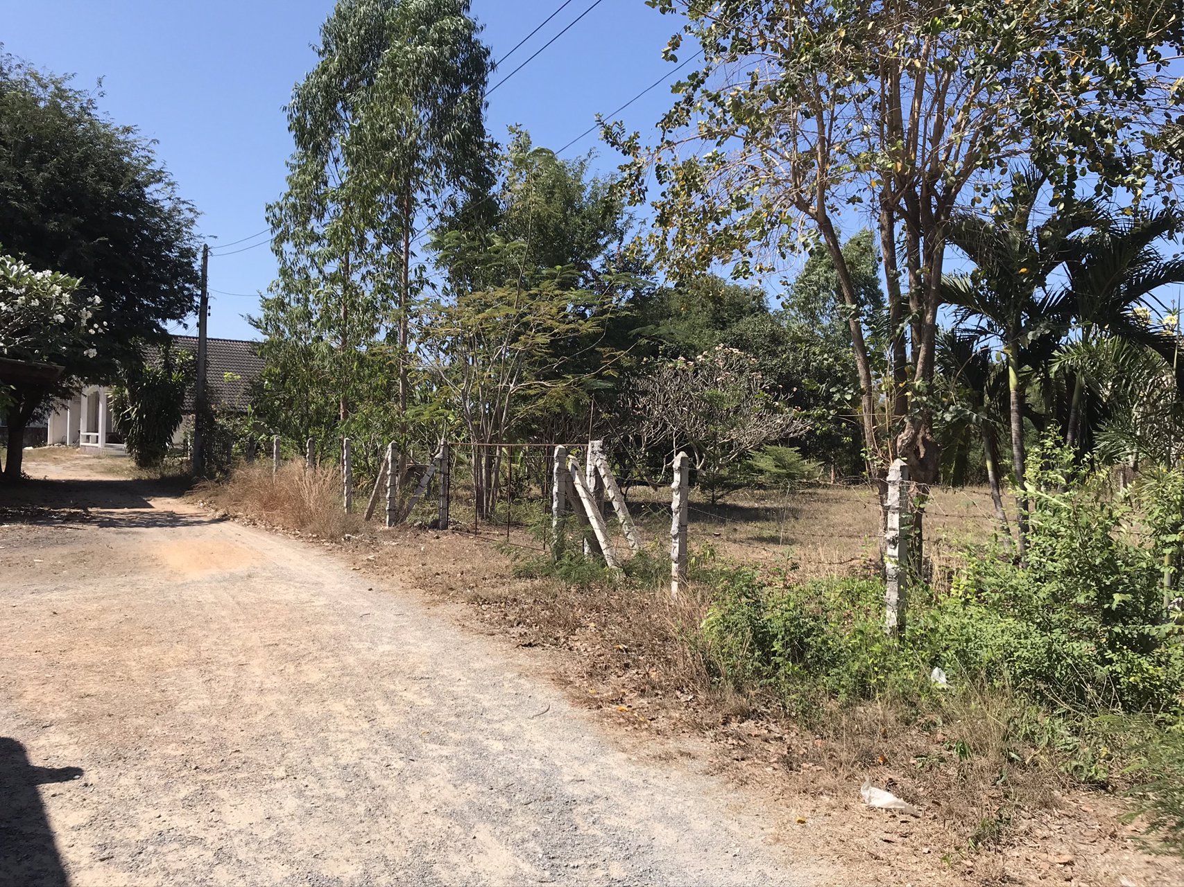 ขายด่วนที่ดินบางเสร่ฝั่งทะเล-ขายถูกกว่าราคาปกติถึง-30-